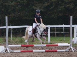 IMG_8003_web-2